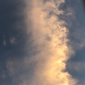 Meet your Posher, Tanya